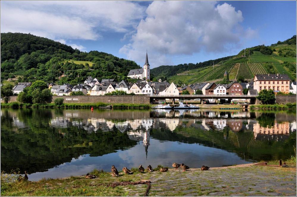 Hotel Weingut-Gaestehaus Karl Otto Nalbach Briedel Exterior foto